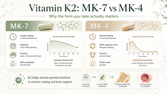 Vitamin K2 MK-7: Why the Form of K2 You Take Actually Matters